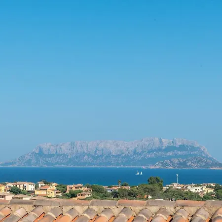 Belvedere 39 2 Olbia