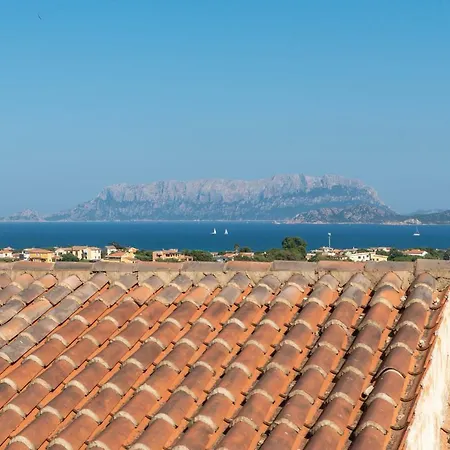 Belvedere 39 2 Olbia